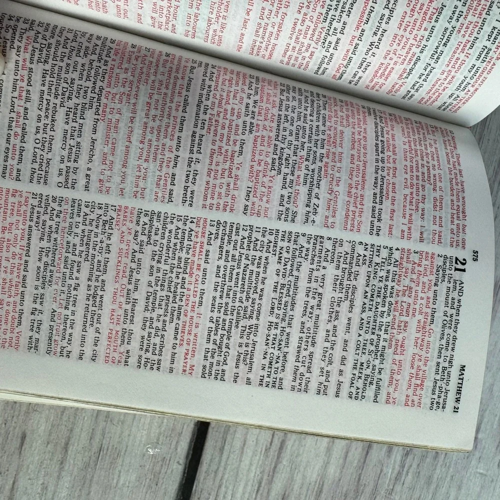 Jerusalem Holy Bible Small Natural Olive Wood Bethlehem Gilded Edges TBN Red